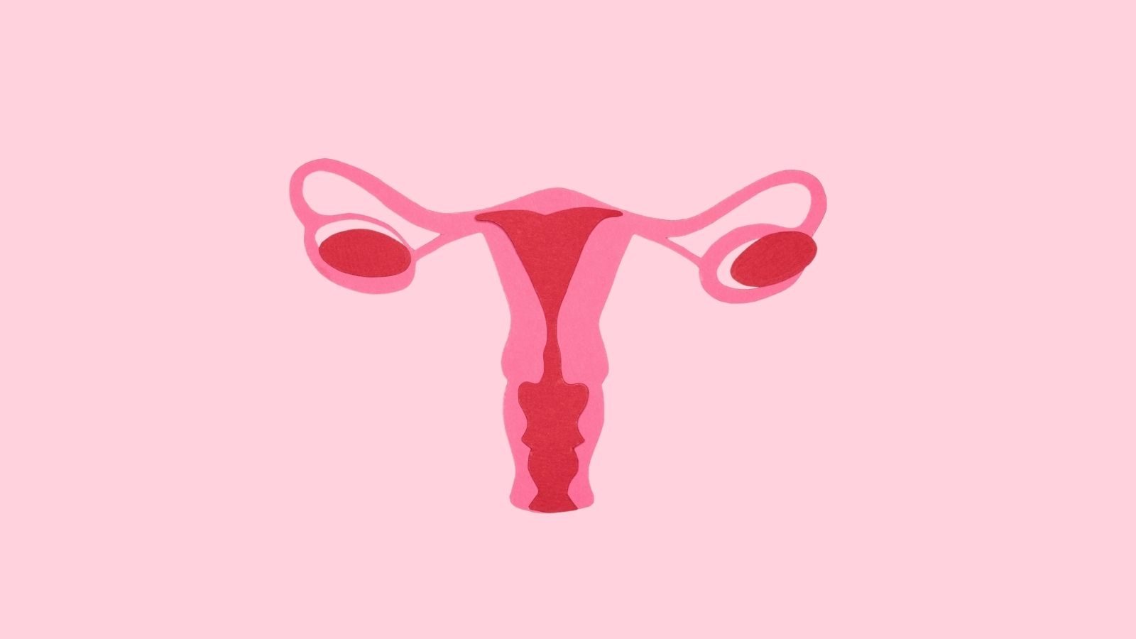 Getekende vagina.