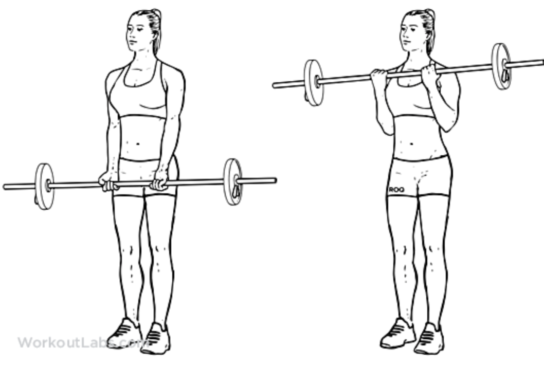bicep-femfem