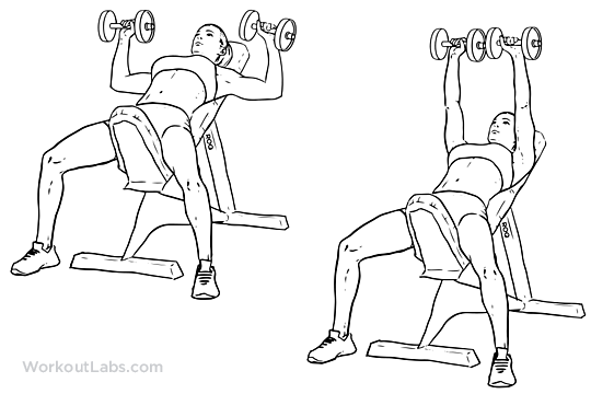 dumbbell-femfem