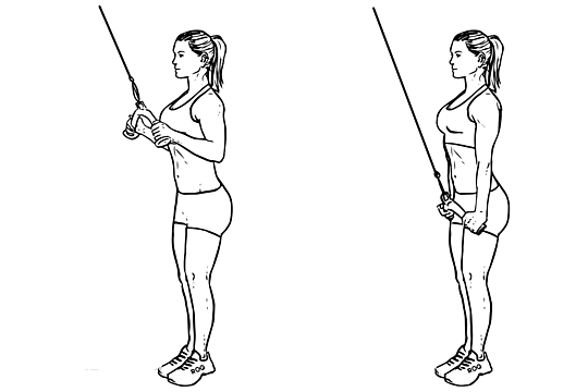 tricep-femfem