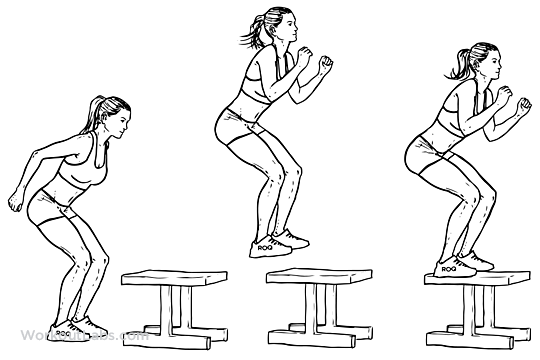 boxjump-buikspieroefeningen-oefeningen-femfem