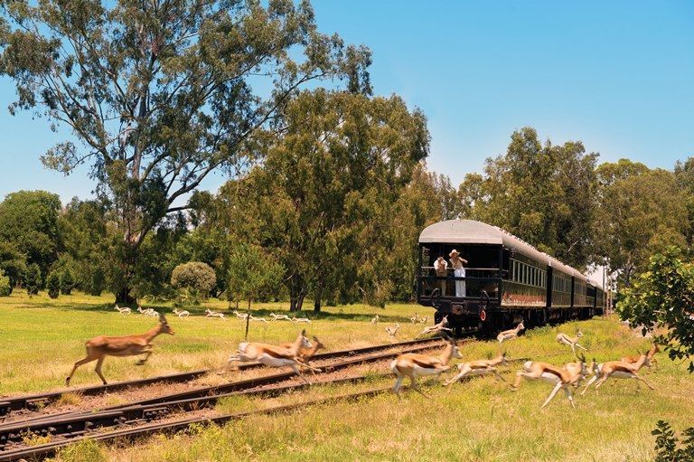 droomreis-afrika-trein