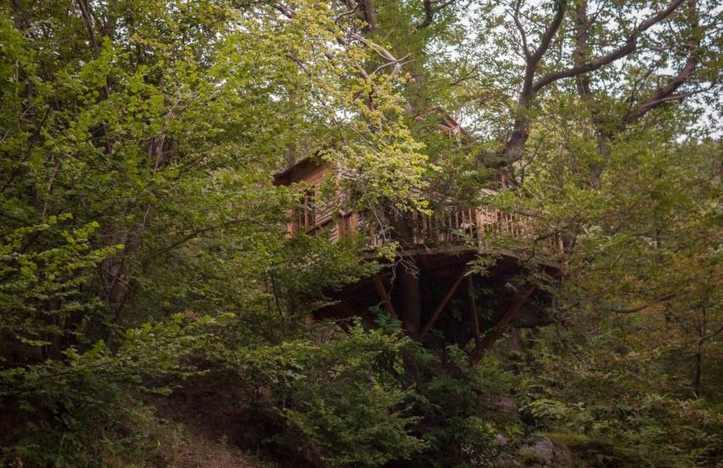 Boomhut-Frankrijk-Glamping-FEMFEM