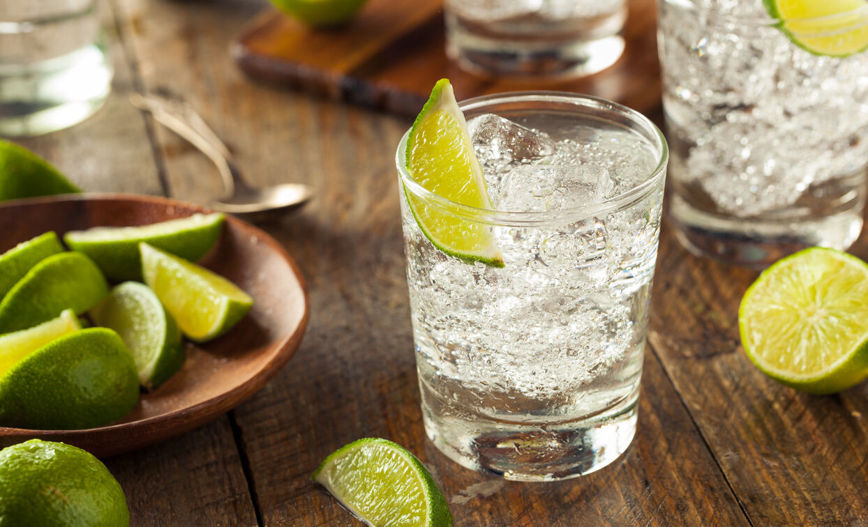 Alcoholic Gin and Tonic with a Lime Garnish