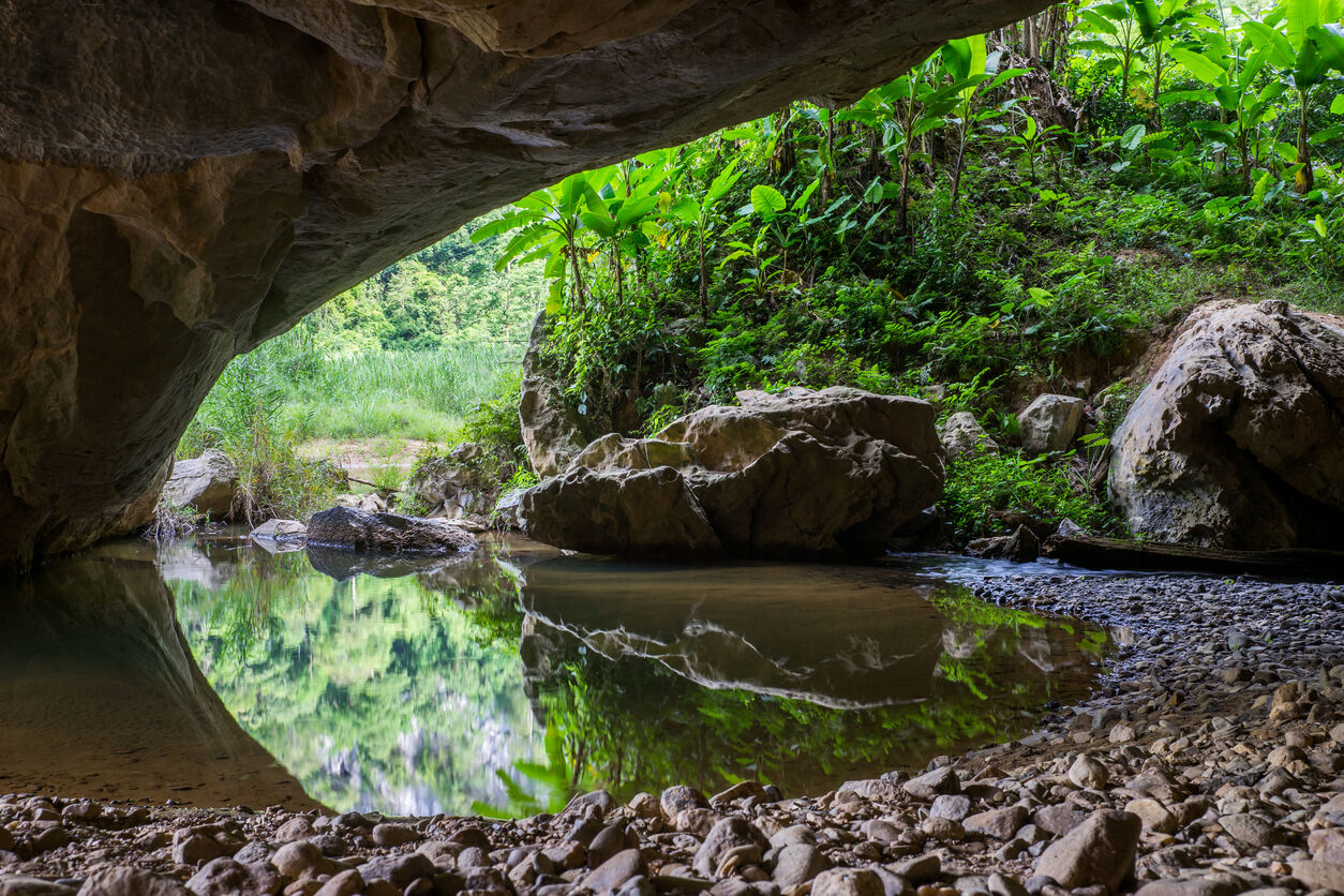Mouth of cave with green tree reflecting on water in Son Doong Cave, the largest cave in the world, is in the heart of the Phong Nha Ke Bang National Park in the Quang Binh province of Central Vietnam