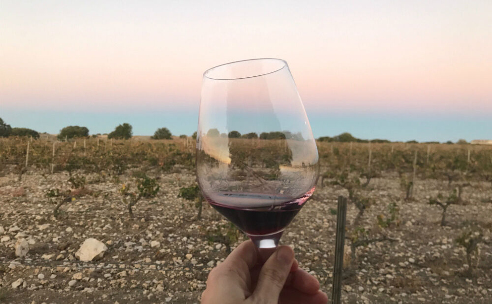Ribera del Duero wijnreis FEMFEM
