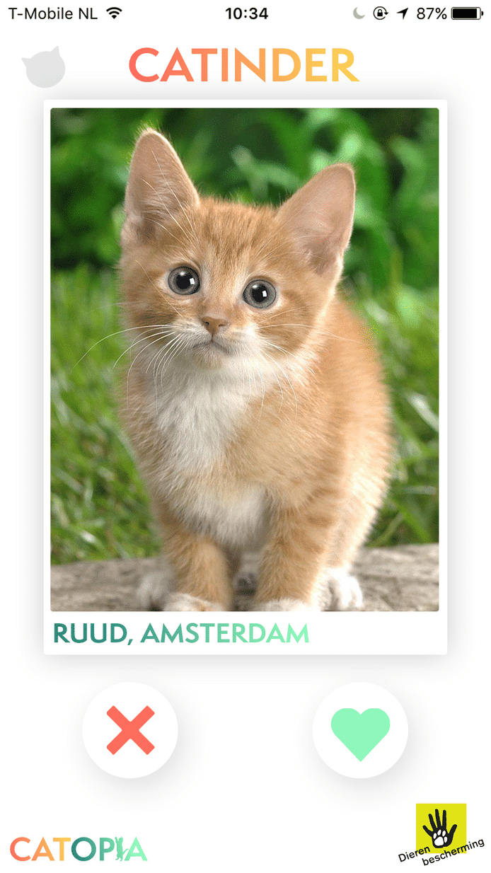 catinder-tinder-katten-femfem