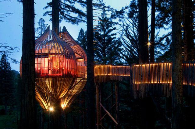 redwood treehouse FEMFEM