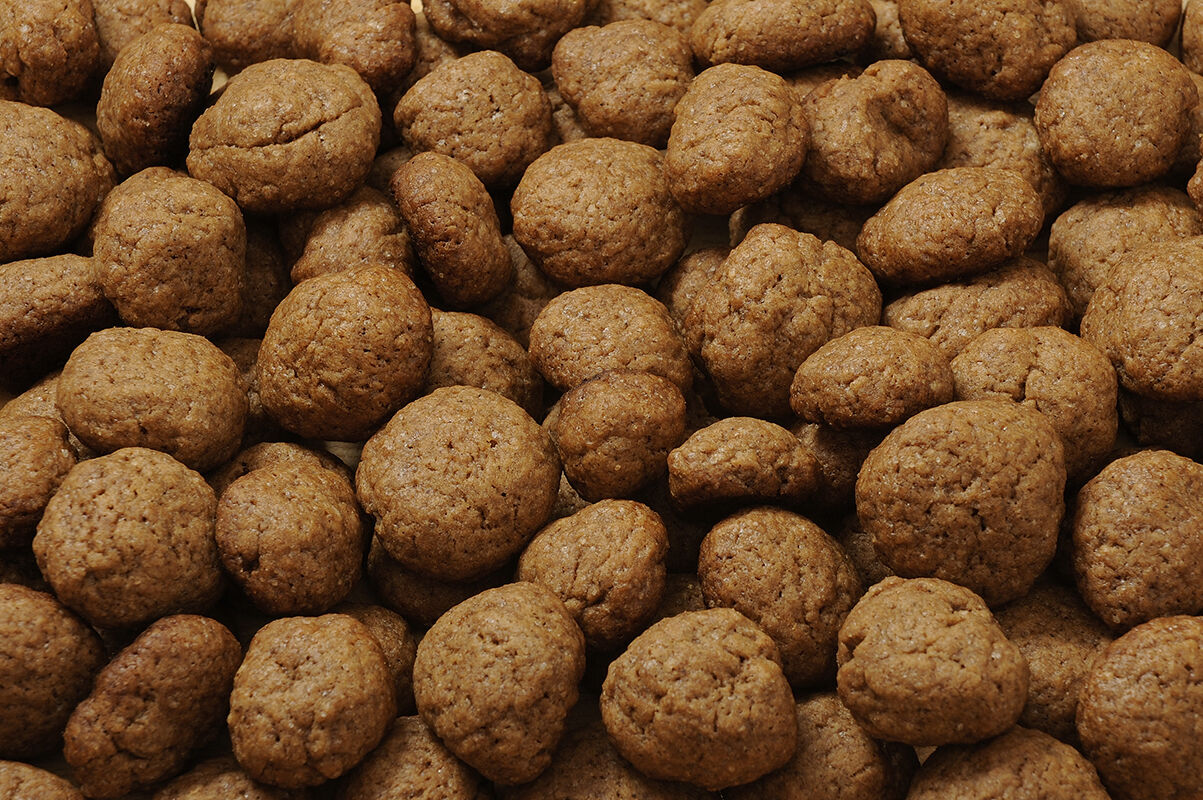 Pepernoten, traditional treat on Sinterklaas, December 5th