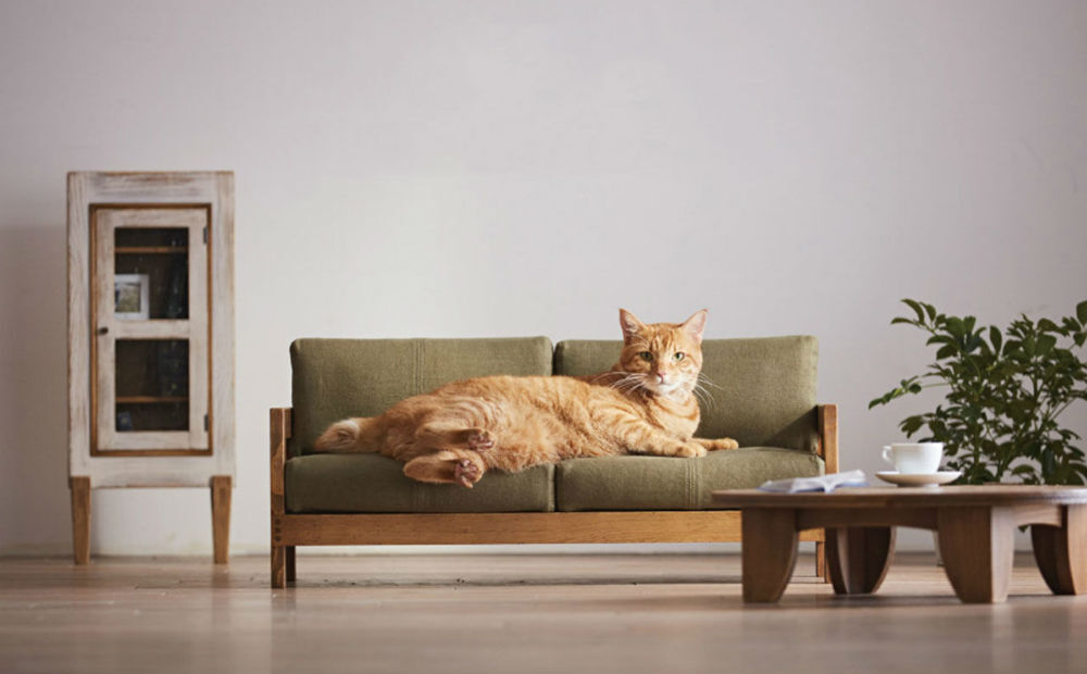 mini-meubels-katten-bank-femem