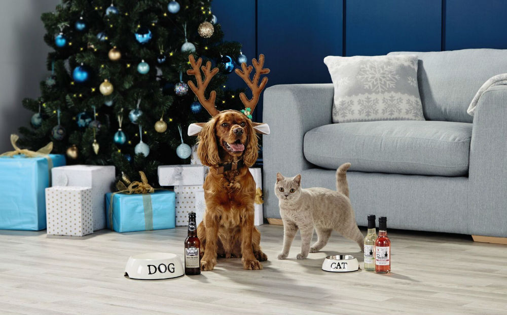 bier-en-pawsecco-huisdieren-femfem