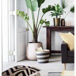 planten in huis