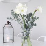planten in huis