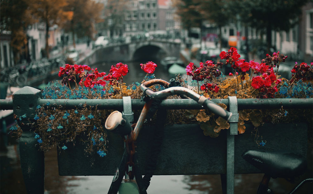 soof-amsterdam-femfem