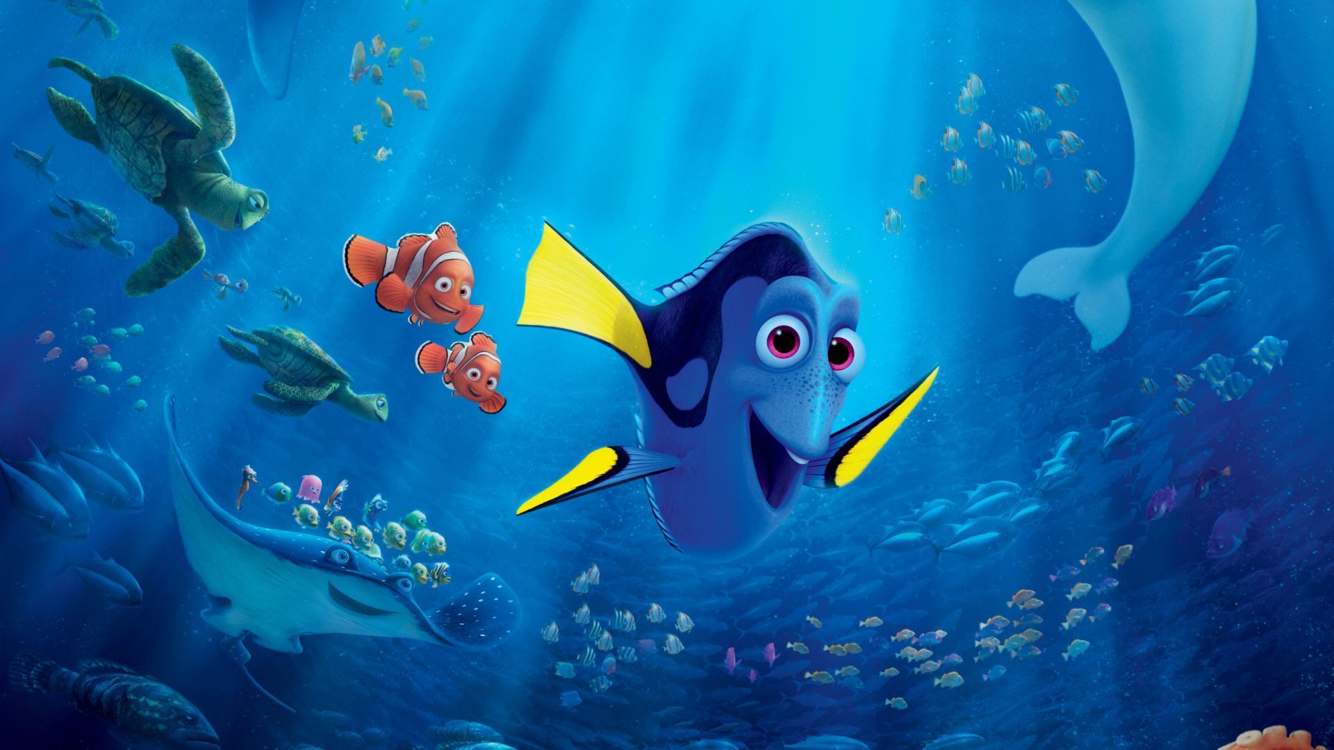 Dory