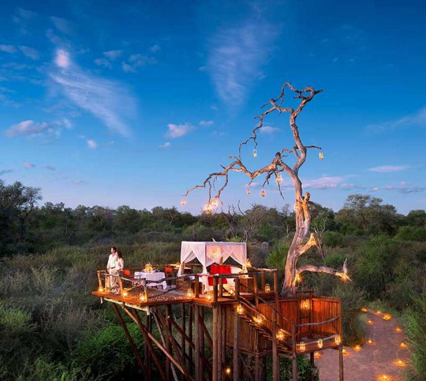 Chalkley-treehouse-02-687x615