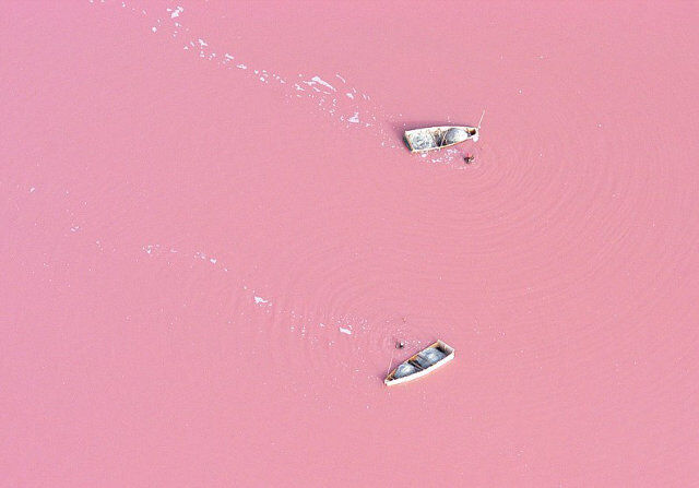 roze meer