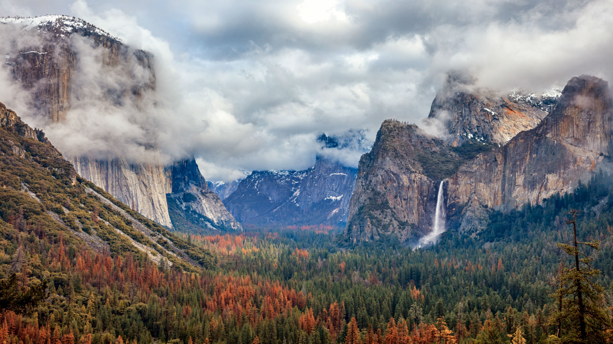 iStock-643842774