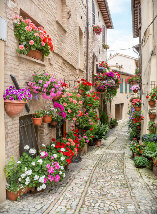 Idyllic alley with potted plants in Spello, Umbria Italy