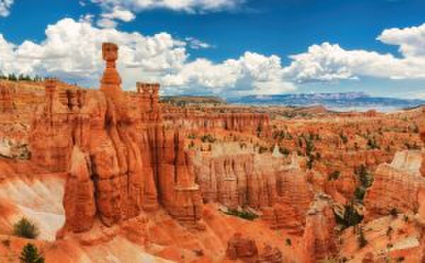 Illustratie voor: De 10 mooiste plekken in de VS om naartoe te reizen