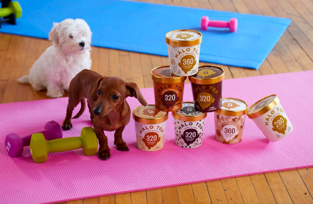 pilates puppies ijs FEM FEM