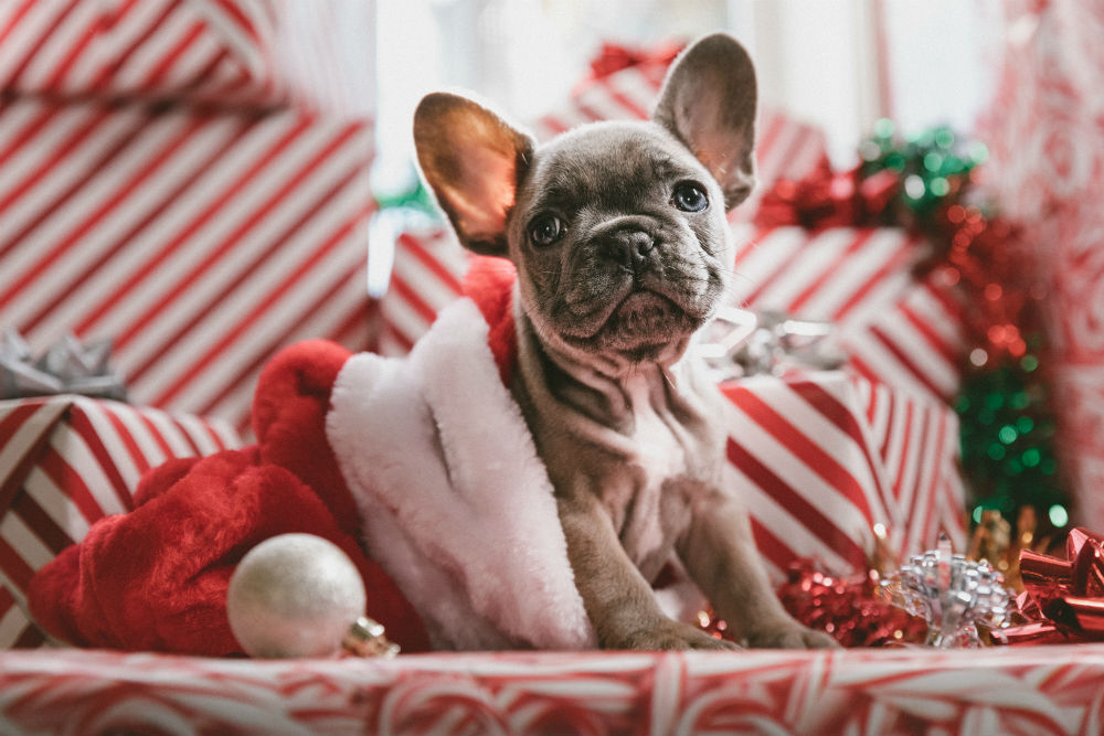 vakantiedagen kerst FEM FEM
