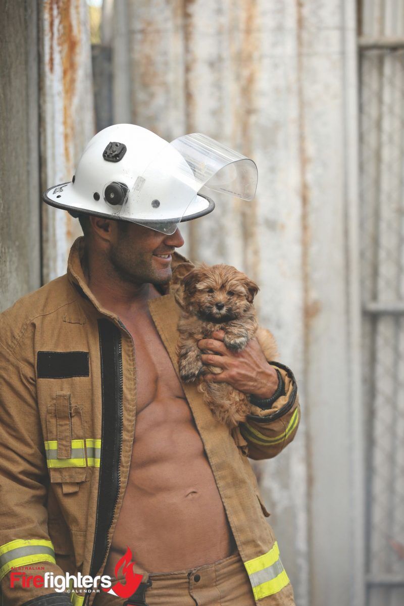 cale-puppy-calendar-australian-firefighters-calendar-1508529298