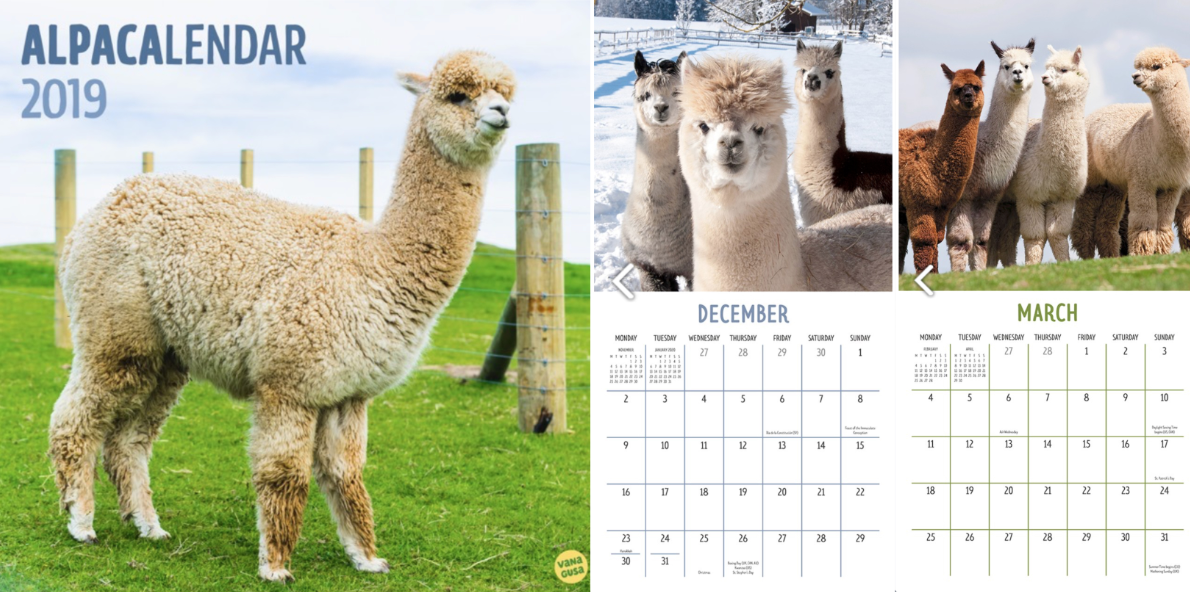 Schermafbeelding 2018-11-08 om 14.29.10