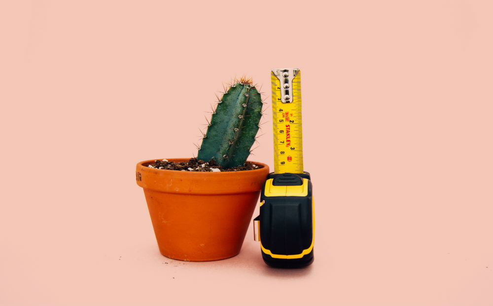 Picture by Unsplash