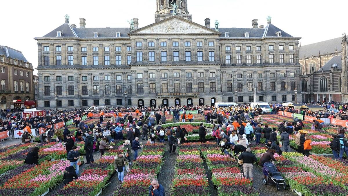 Nationale Tulpendag fem fem