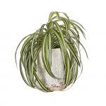 TK Maxx homedeco
