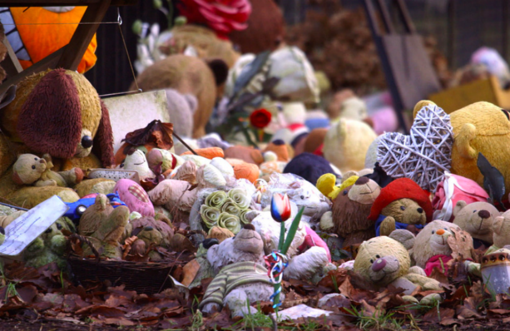 Beeld van NPO 3