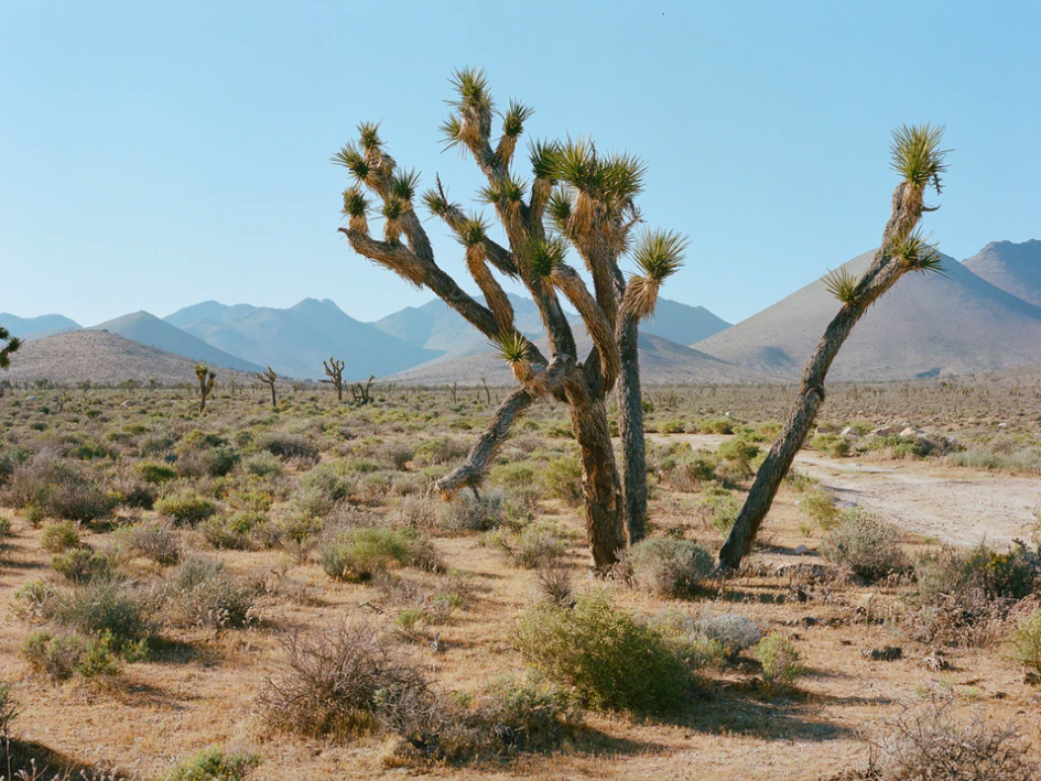 roadtrip amerika death valley FEM FEM 