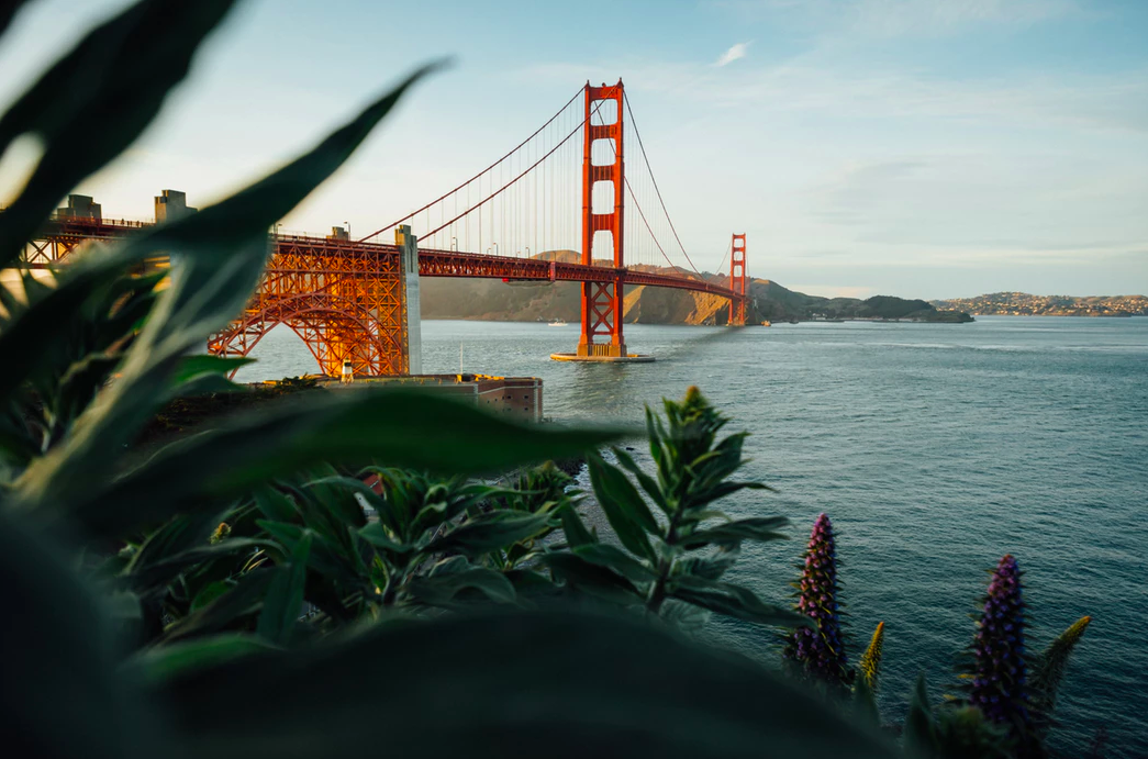roadtrip amerika san francisco FEM FEM