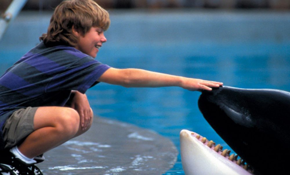 free willy netflix FEM FEM