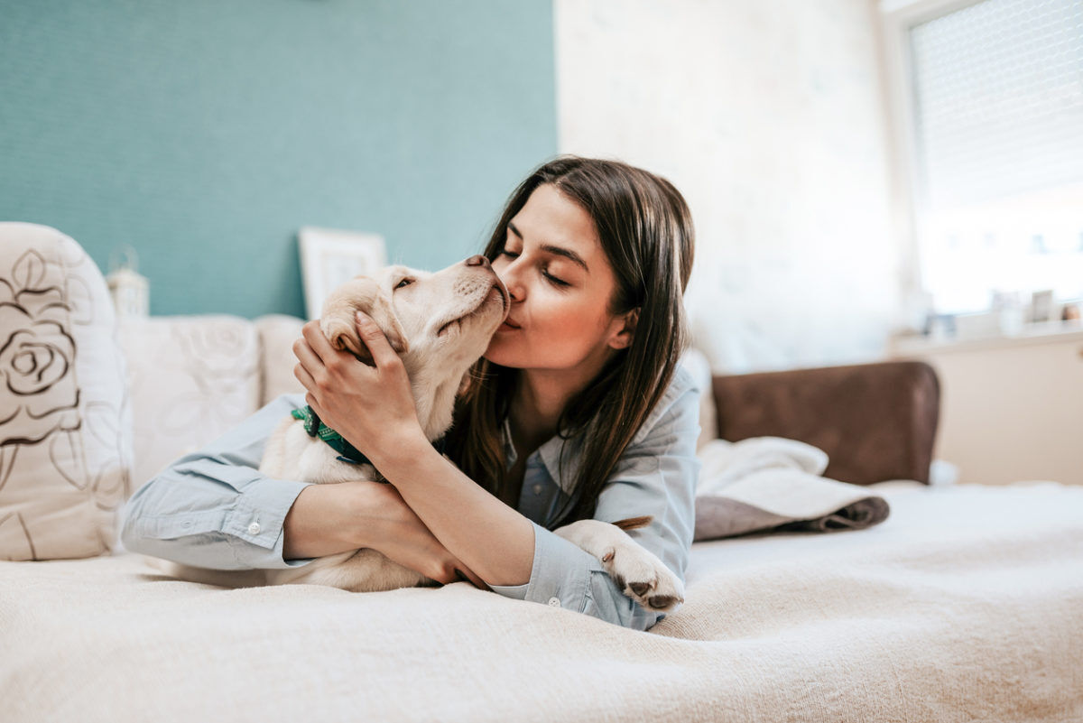 slapen hond partner FEM FEM