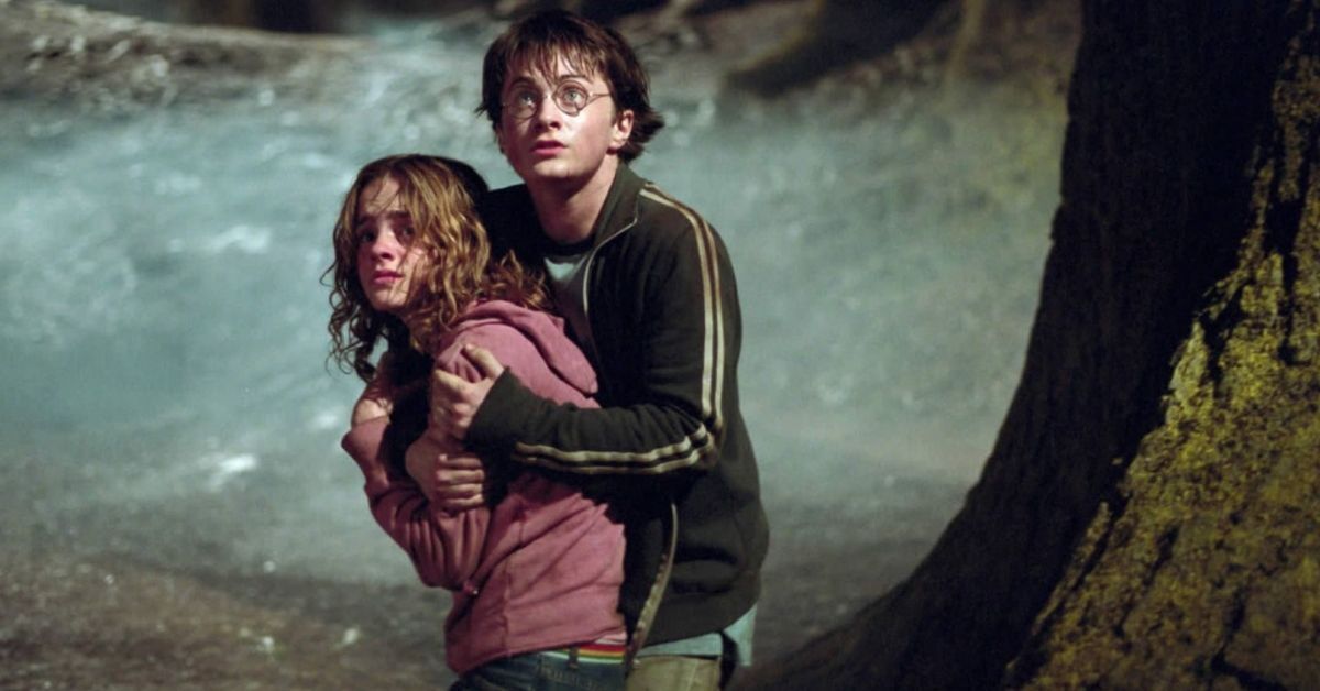 Harry potter netflix FEM FEM
