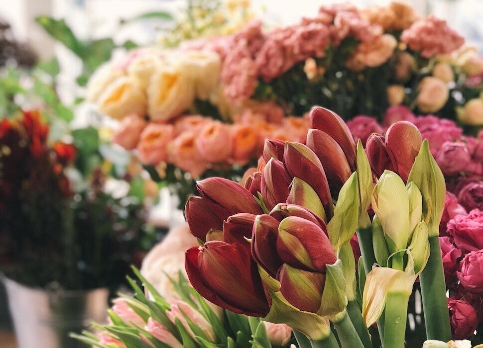 bloemenover-bloemen-kopen