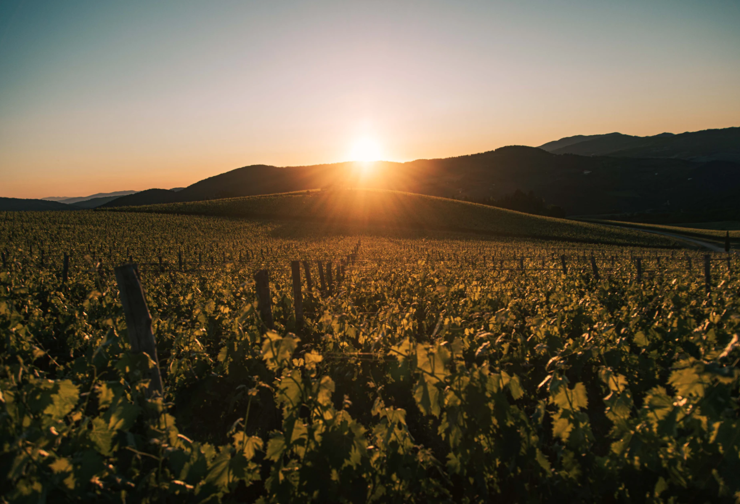 @unsplash