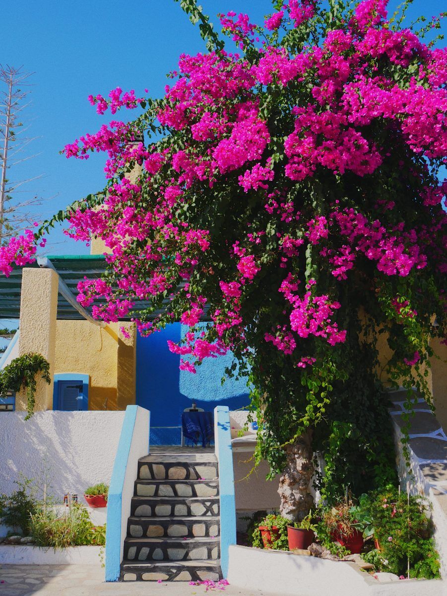@unsplash