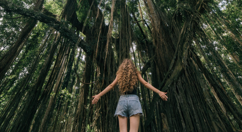 @pexels.com 
