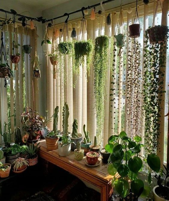 plant muziek fem fem