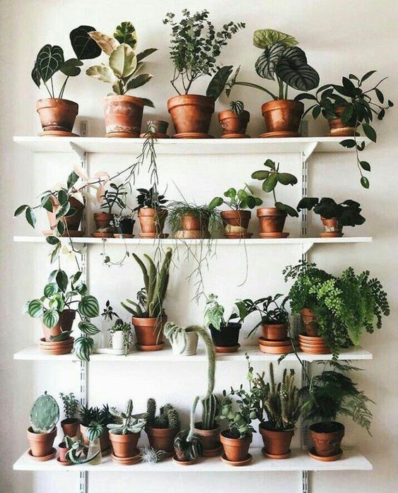 @pinterest