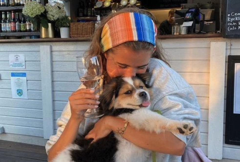 hond