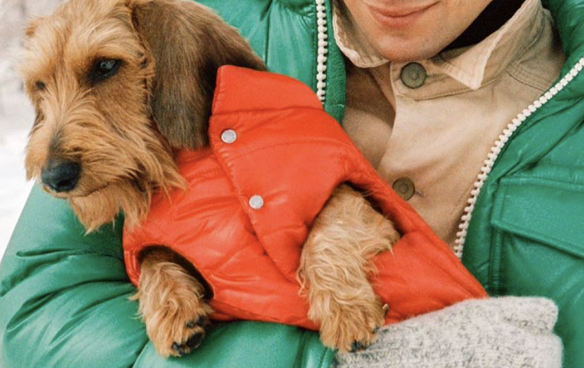 puffer jack voor je hond