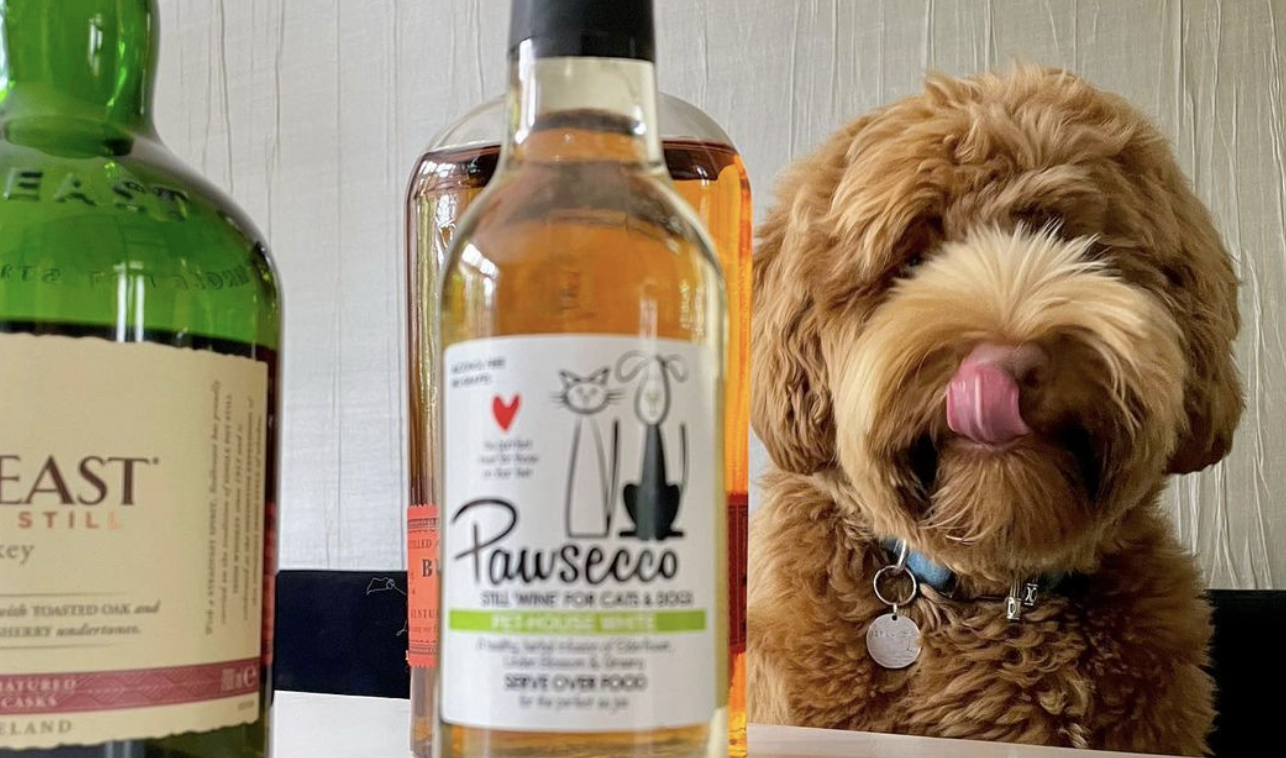 pawsecco