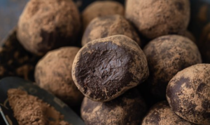 chocolade truffels