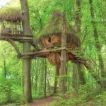 Deze boomhut-Airbnb in Frankrijk is de droom van iedere avonturier