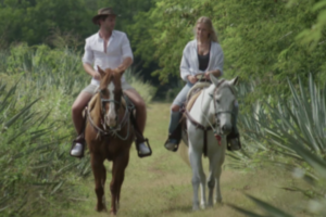 bron: De Bachelor/ Videoland