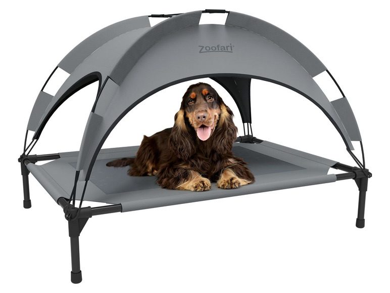 HEBBEN: Lidl komt met zonnebed voor je hond